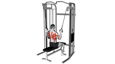 Cable Twin Handle Lat Pulldown Video Guide Tips