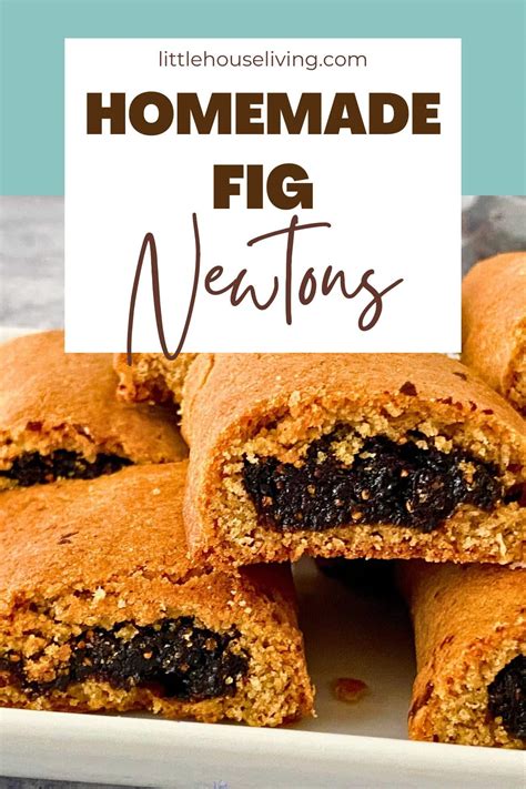 Homemade Fig Newtons Recipe Little House Living