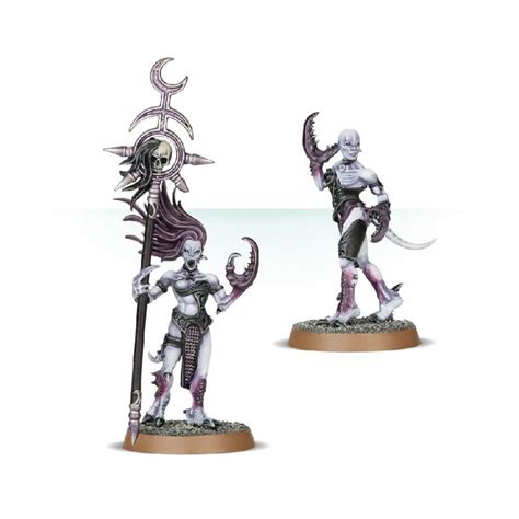 Warhammer 40k Daemonettes Of Slaanesh