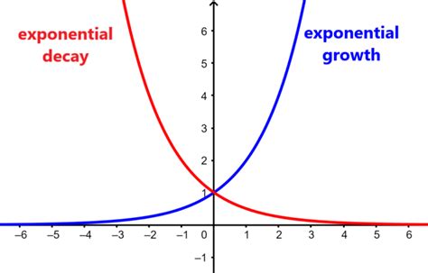 Exponential Decay - Formulas and Examples - Neurochispas