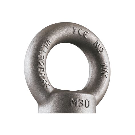 Lifting Eye Nut Din 582 Galvanized Eye Nut Certex Denmark