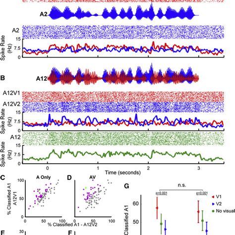 Visual Stimuli Shape the Neural Representation of an Auditory Scene ...