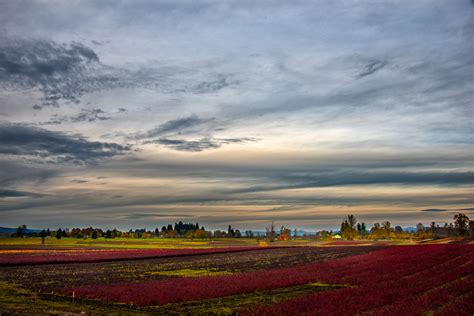 Wallpaper Sunlight Landscape Sunset Hill Nature Grass Sky Field Sunrise Cartoon