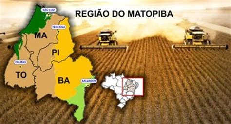 Matopiba o novo celeiro do agronegócio brasileiro