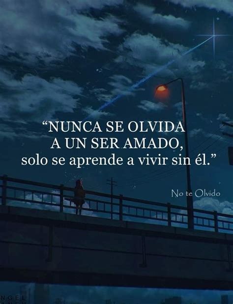 Nunca Se Olvida A Un Ser Amado Te Amo Como Eres Frases Criticas