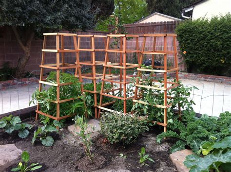 Garden Trellis Tomato Plant Ideas You Should Check Sharonsable