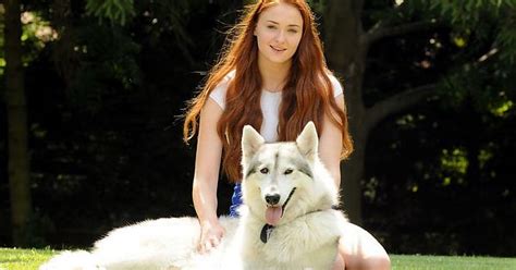 Rhm Sophie Turner With Her Adopted Dire Wolf Imgur