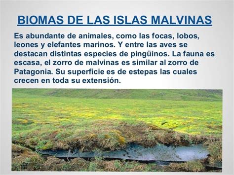 Islas Malvinas