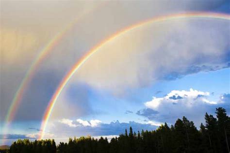 how are rainbows formed : process the formation of rainbows