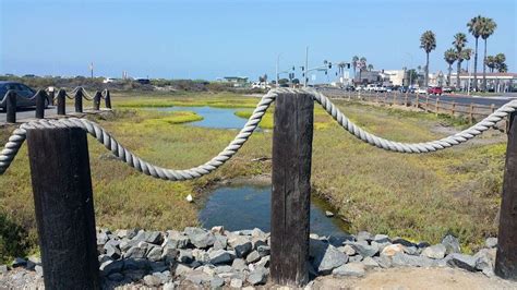 Bolsa Chica Ecological Reserve Ca Huntington Beach Ca