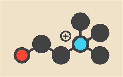 Choline Essential Nutrient Molecule By Molekuul