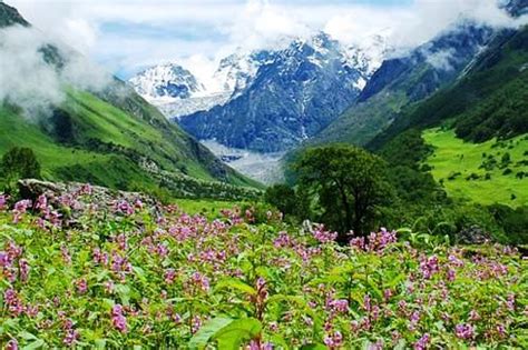 Parques Nacionales De Nanda Devi Y El Valle De Las Flores India Nepal