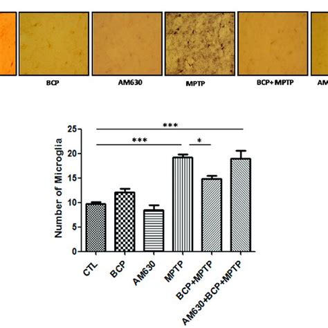 Effect Of Bcp On Mptp Induced Microglia Activation In The Mouse Str