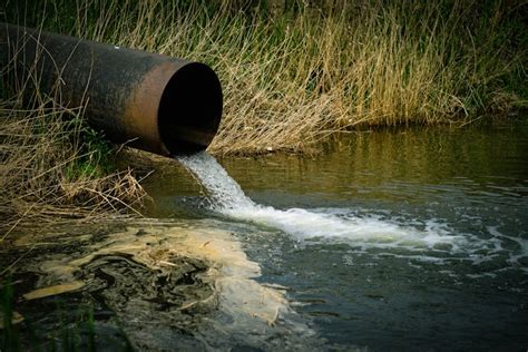 La Pollution Des Rivi Res Provoque Des Pid Mies Dangereuses De