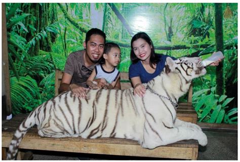 Zoobic Safari The First Night Safari In The Philippines Experience