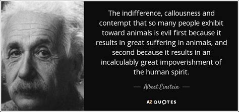 Albert Einstein quote: The indifference, callousness and contempt that ...