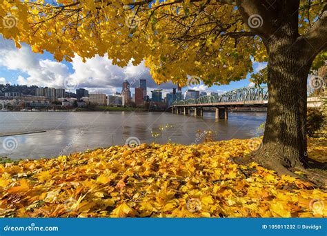 Fall Foliage With Portland Or Waterfront City Skyline Stock Photo