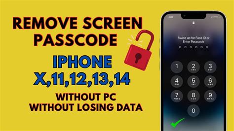 Remove Screen Passcode Iphone X Series Without Computer And