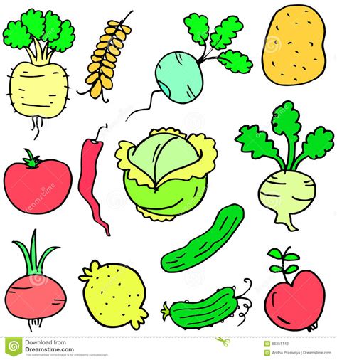 Doodle Of Vegetable Various Set Design Cartoon Stock Vector