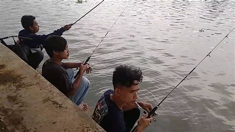 Mancing Mujair Di Situ Rawa Kalong Strek Bertubi Tubi Youtube