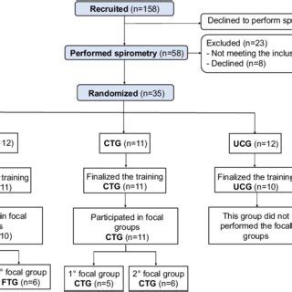 Flowchart Of The Study Abbreviations Ftg Functional Training Group