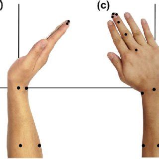 Wrist ROM measurements in different postures | Download Scientific Diagram