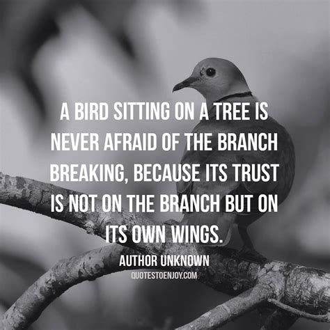 A Bird Sitting On A Tree Is Never Afraid Of The Branch Author Unknown