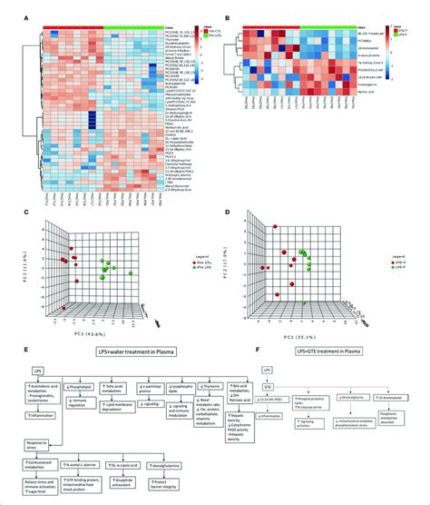 Heatmaps Of Metabolites Showed Patterns Of Differential Metabolite