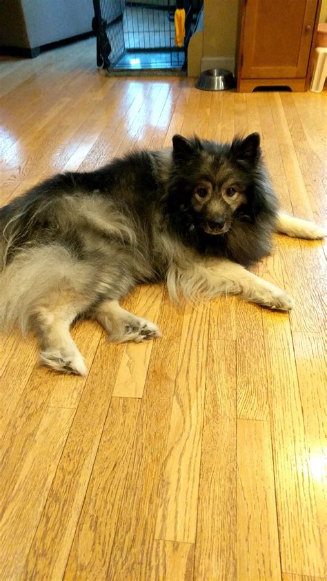 Ions — Definition & Overview - Expii 