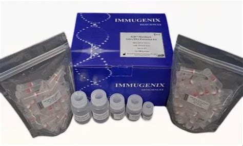 Dna Extraction Kit At Best Price In Chennai By Immugenix Biosciences Private Limited Id