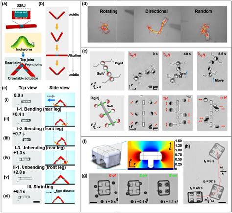 南方科技大学等基于双光子聚合的4D打印及其应用 3D科学谷