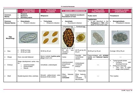 Solution Clinical Parasitology Intestinal Nematodes Studypool