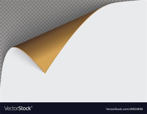 Page Curl With Shadow On A Blank Sheet Of Paper Vector Image