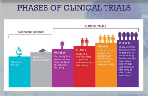 Clinical Trial Phases Insights