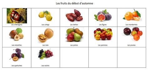 Les fruits et légumes du début d automne Ma Cuisine Santé