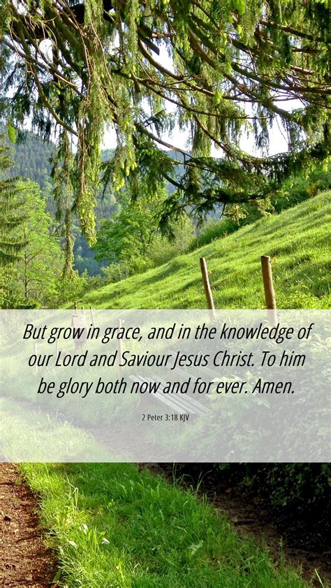 2 Peter 3 18 KJV Mobile Phone Wallpaper But Grow In Grace And In The