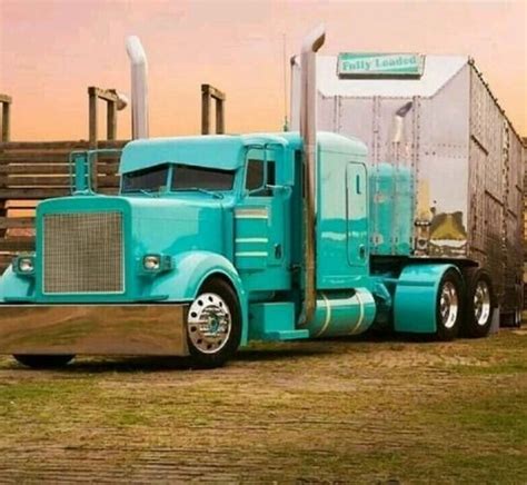 Truckingworldwide2 Peterbilt Custom 379 Bull Hauler US Trucks