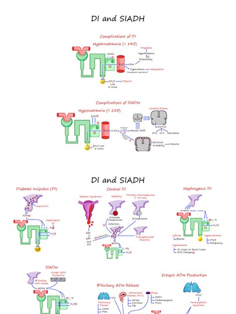 9 Diabetes Insipidus And Siadh Illustrations Key Download Free Pdf Diseases And Disorders