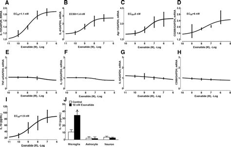 Effects Of Exenatide On The Expression Of IL 10 A IL 4 B Arg 1