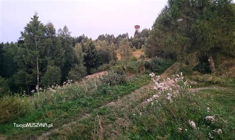 Budowa Wie Y Widokowej Z Obiektami Ma Ej Architektury Na G Rze Malnik