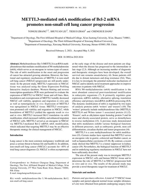 Pdf Mettl Mediated M A Modification Of Bcl Mrna Promotes Nonsmall