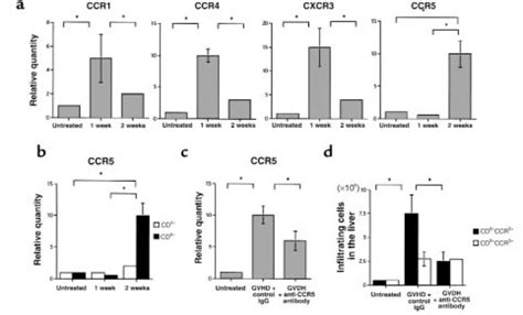 A Kinetics Of Ccr1 Ccr4 Cxcr3 And Ccr5 Mrna Expression In Liver