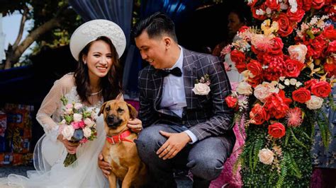 Consejos Para Incluir A Tu Perro O Mascota En Tu Boda Uno TV