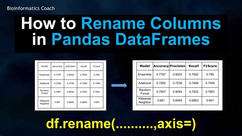 Pandas Python For Bioinformatics How To Rename Columns In Pandas