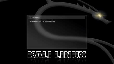 Kali Linux Fresh Installation Guide Kali Linux Documentation