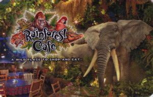 Rainforest Cafe Gift Card - Infoupdate.org