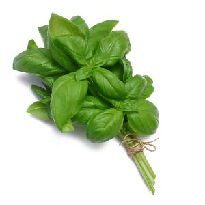 Sweet Basil – Deluxe Produce