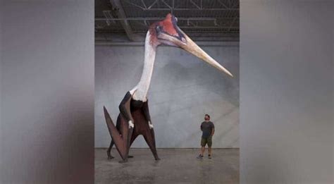 Quetzalcoatlus Largest Known Flying Animal To Have Ever Lived On Earth