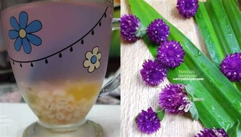 buat air bunga butang tak rasa rumput netty ah hiyer