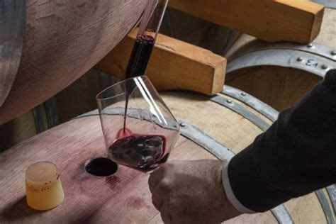 QUÉ ES LA FERMENTACIÓN MALOLÁCTICA EN EL VINO Club del Gourmet